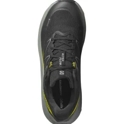 Chaussures de trail Salomon Ultra Flow 2 Gore-Tex Black Sedona Sage Incaberry