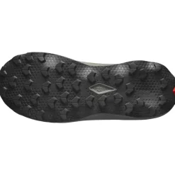 Chaussures de trail Salomon Ultra Flow 2 Gore-Tex Black Sedona Sage Incaberry