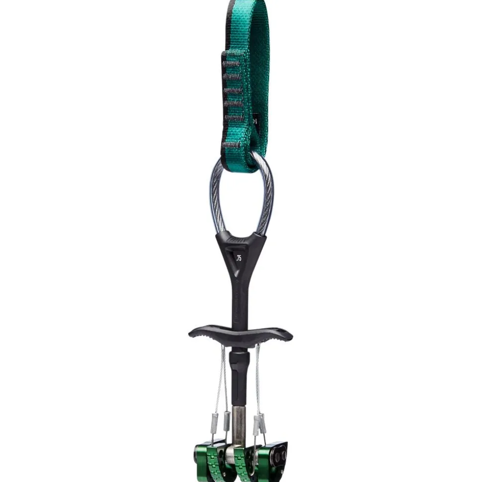 Coinceur Black Diamond Camalot C4