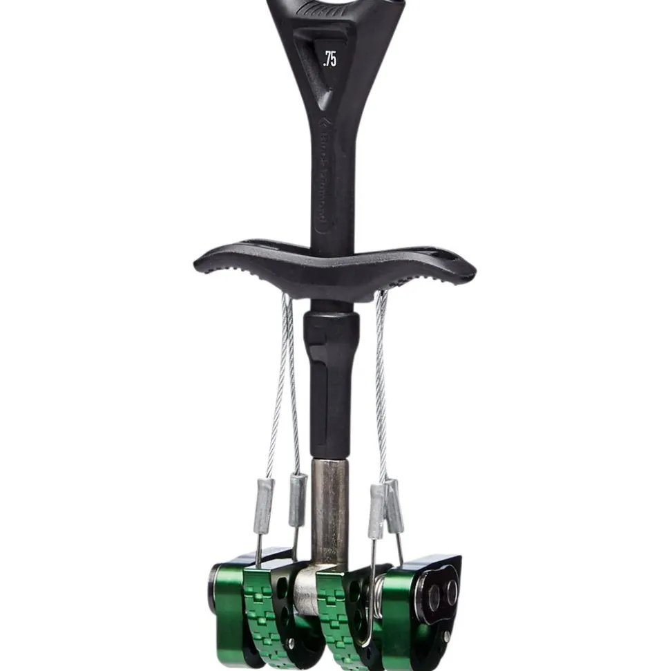 Coinceur Black Diamond Camalot C4