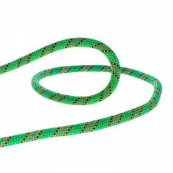 Corde Beal Tiger 10mm Dry Cover Green