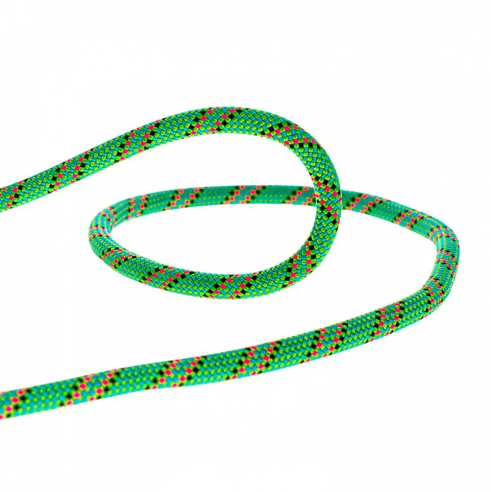 Corde Beal Tiger 10mm Dry Cover Green