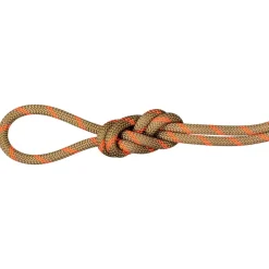 Corde Mammut 8.0 Alpine Dry Rope Boa Vibrant Orange