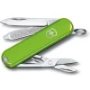 Couteaux Victorinox  Classic Sd Smashed Avocado