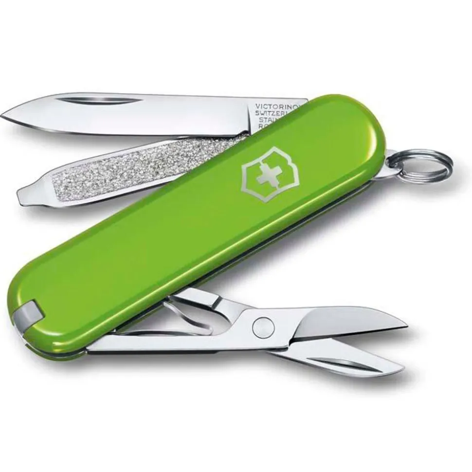 Couteaux Victorinox Classic Sd Smashed Avocado
