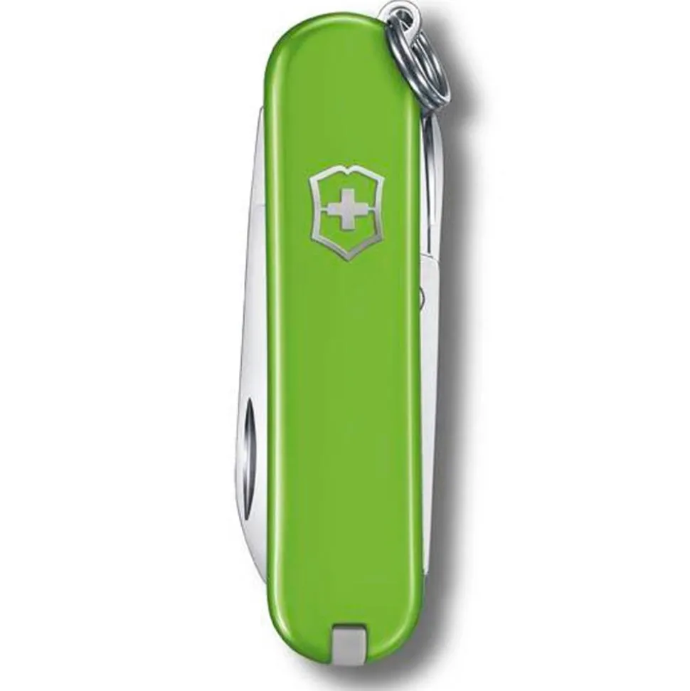 Couteaux Victorinox Classic Sd Smashed Avocado