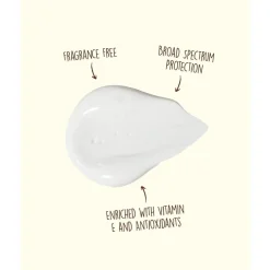 Crème solaire Sun Bum Original SPF 50 Sunscreen Face Lotion