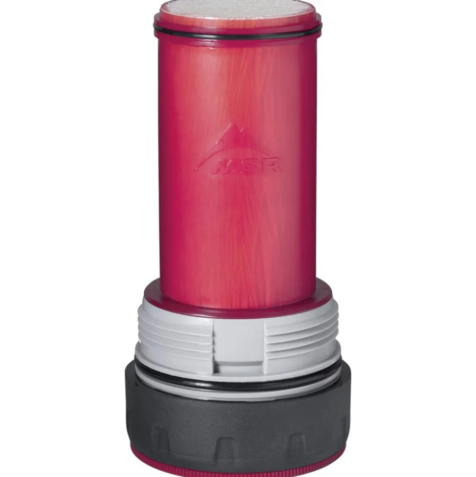Filtre Pompe MSR Guardian Purifier