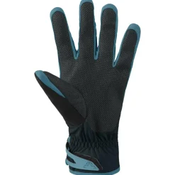 Gant Dynafit Mercury Dynastretch Gloves Blueberry Storm Blue