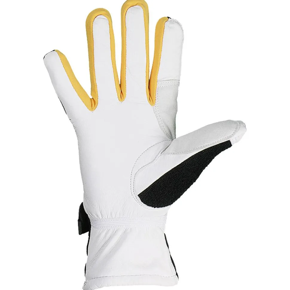 Gant Nordique Lill Sport Coach Black