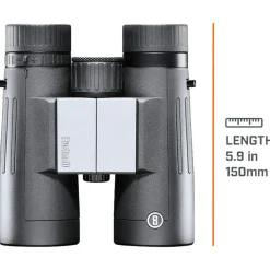 Jumelles Bushnell Powerview 2 8x42 Anthracite