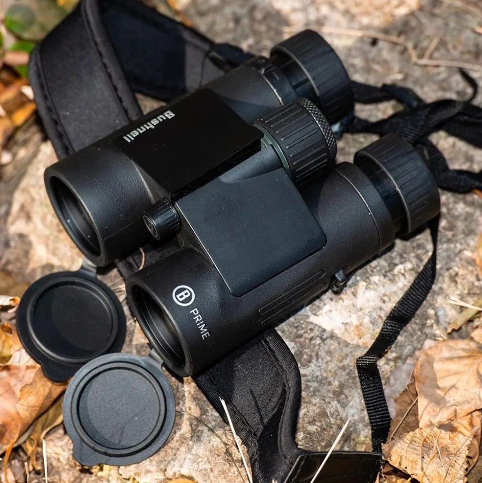 Jumelles Bushnell Prime 8x42 Black