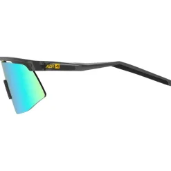 Lunettes de soleil AZR Team Jr Crystale Grise Vernie Multicouche Gold
