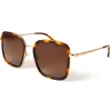 Lunettes de soleil Binocle Eyewear Paloma Shiny Gold Tortoise Gradient Brown Polarized