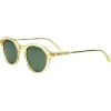 Lunettes de soleil Binocle Eyewear Melbourne Champagne Green Polarized