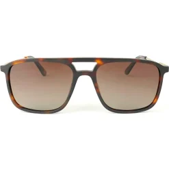 Lunettes de soleil Binocle Eyewear Milano Gold Tortoise Brown Polarized