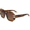 Lunettes de soleil Binocle Eyewear Claudia Shiny Cream Tortoise Gradient Brown Polarized
