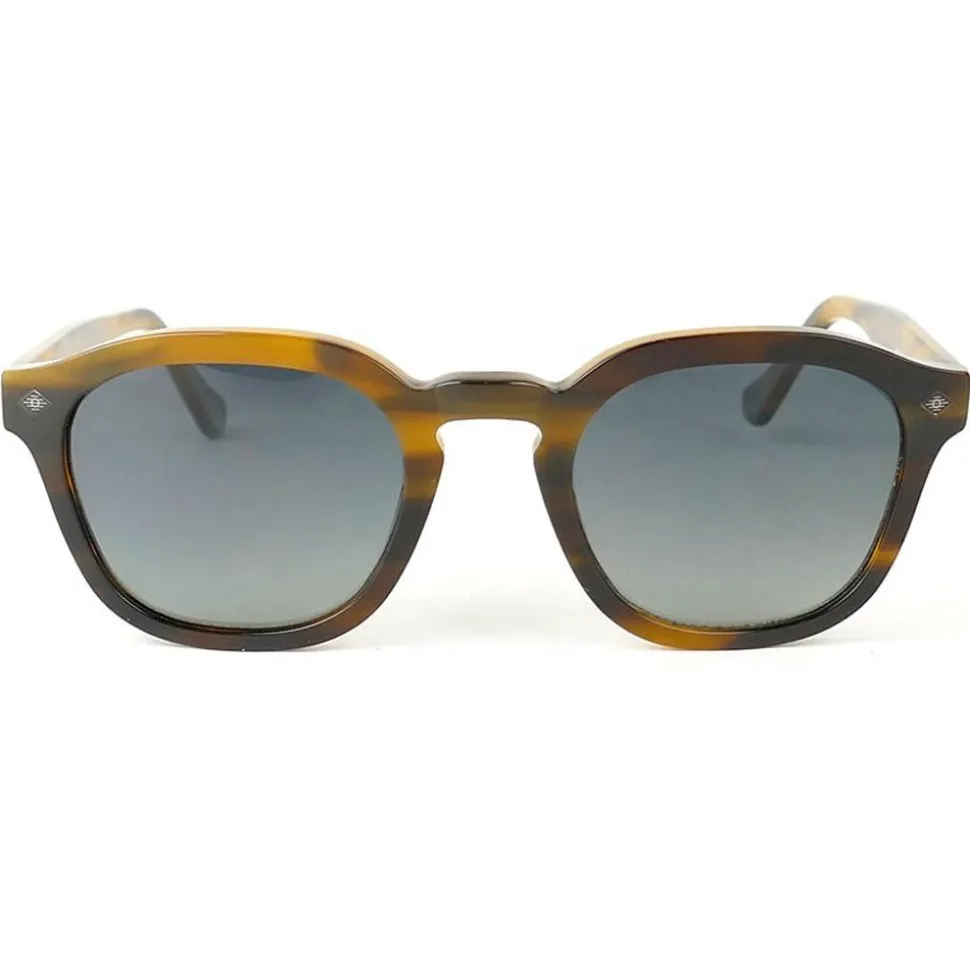 Lunettes de soleil Binocle Eyewear James Shiny Wood Tortoise Gradient Grey Polarized