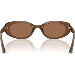 Lunettes de soleil Ray Ban RB4441D Matte Brown Opaline Dark Brown
