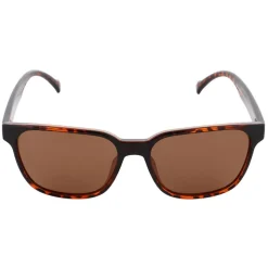 Lunettes de soleil Red Bull Spect Cary Shiny Havana Brown