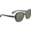 Lunettes de soleil Serengeti Hayworth Shiny Black Transparent Layer Mineral