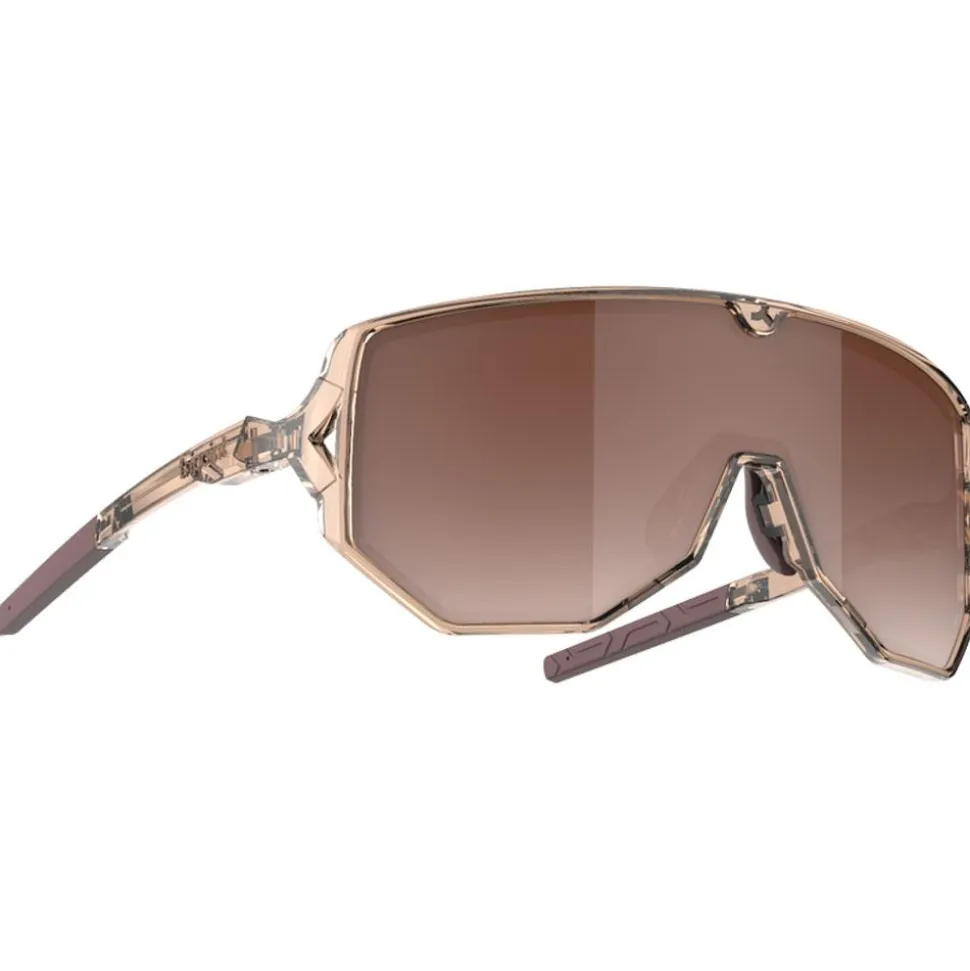Lunettes de soleil Tripoint Reschen Transparent Brown Gradient Brown