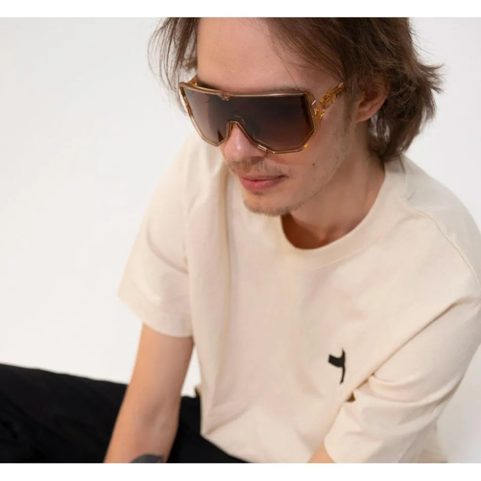 Lunettes de soleil Tripoint Reschen Transparent Brown Gradient Brown