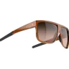 Lunettes de soleil Tripoint Rajka Shiny Transparent Brown Gradient Brown
