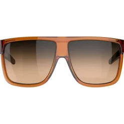 Lunettes de soleil Tripoint Rajka Shiny Transparent Brown Gradient Brown