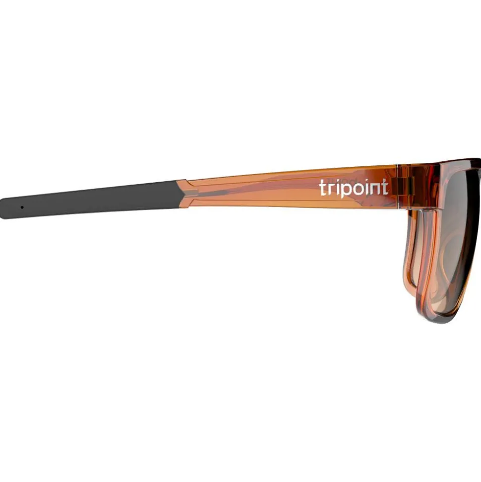 Lunettes de soleil Tripoint Rajka Shiny Transparent Brown Gradient Brown