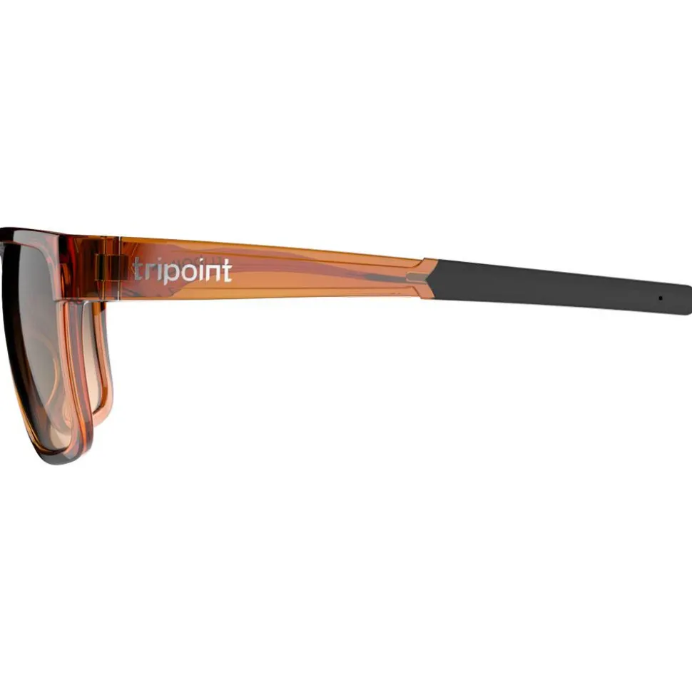 Lunettes de soleil Tripoint Rajka Shiny Transparent Brown Gradient Brown
