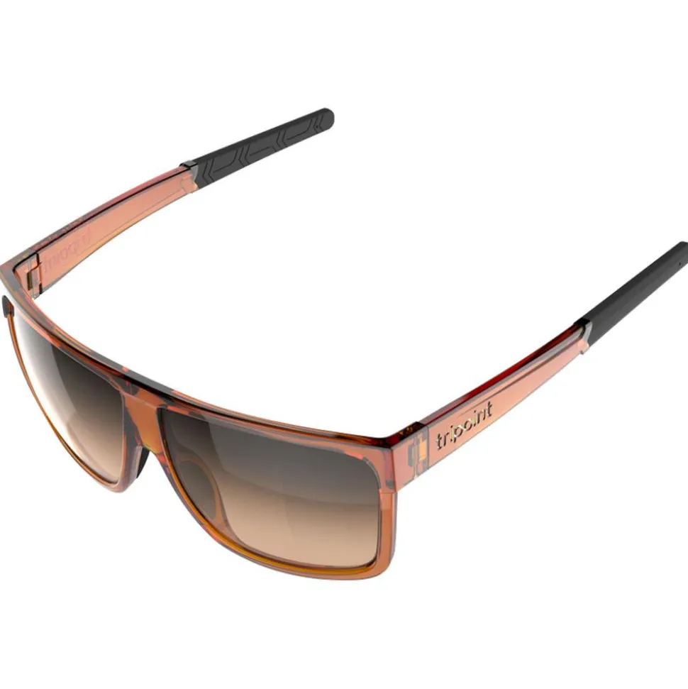 Lunettes de soleil Tripoint Rajka Shiny Transparent Brown Gradient Brown