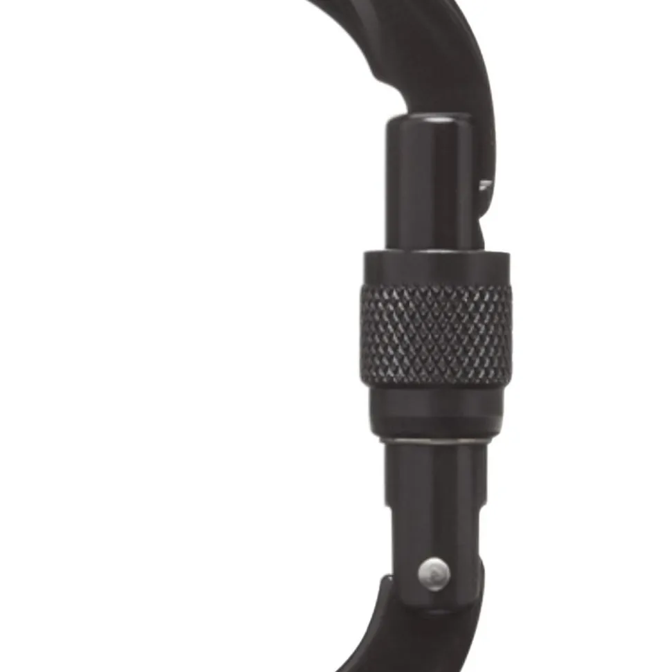 Mousqueton Black Diamond Oval Keylock Screwgate Black 2