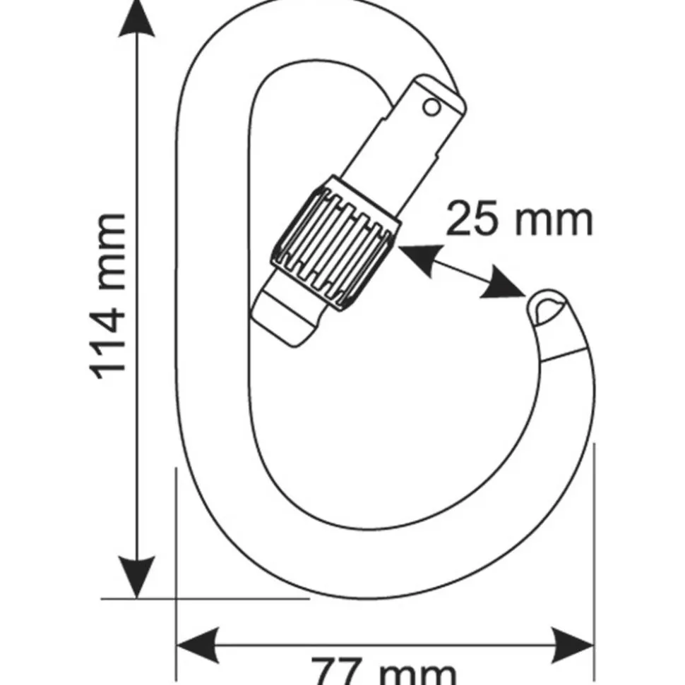Mousqueton C.A.M.P. Core Lock