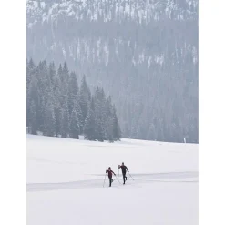 Pack Ski Nordique Redline Skin + Fix