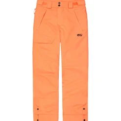 Pantalon Ski Picture Time Pants Neon Flare
