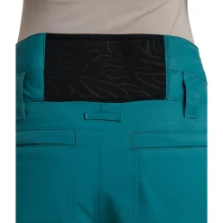 Pantalon Ski Roxy Diversion Sea Pine
