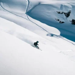 Planche Snowboard Borealis Botanica