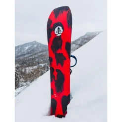 Planche Snowboard Burton Family Tree Hometown Hero