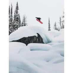 Planche Snowboard Burton Family Tree Hometown Hero