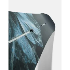 Planche Snowboard Burton Process