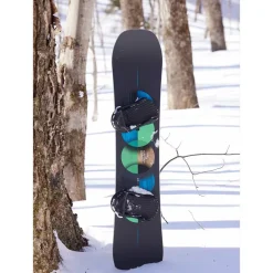 Planche Snowboard Burton Custom Smalls