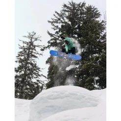 Planche Snowboard Burton Counterbalance