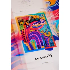 Planche Snowboard Capita Aeronaut