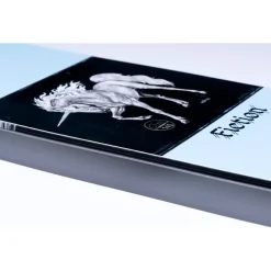 Planche Snowboard Gnu Fiction