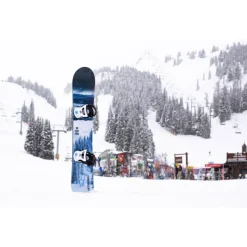 Planche Snowboard Lib Tech Cold Brew