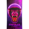 Planche Snowboard Verdad Emperor Magenta