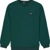 Polaire Picture Tofu Sweater Ponderosa Pine