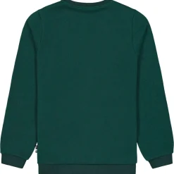 Polaire Picture Tofu Sweater Ponderosa Pine