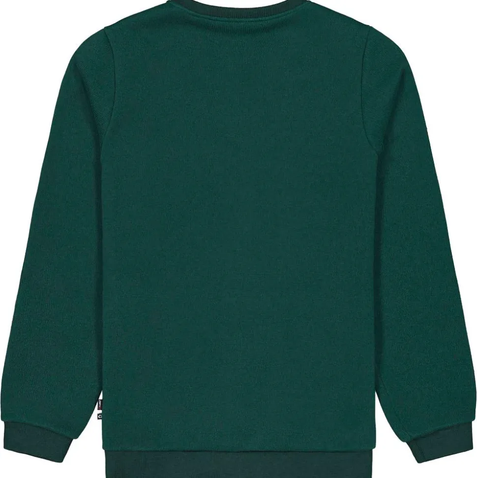 Polaire Picture Tofu Sweater Ponderosa Pine